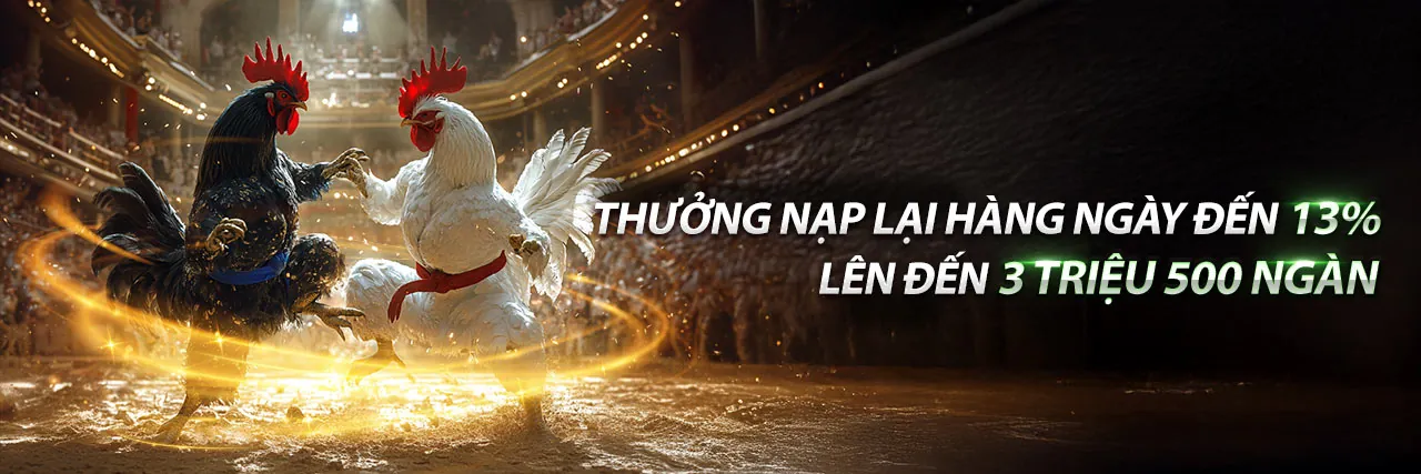 Trực tiếp đá gà c1c2c3c4 tại wwin999